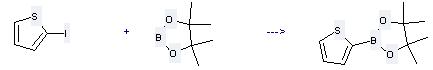 Pinacolborane can react with 2-Iodo-thiophene to get 4,4,5,5-Tetramethyl-2-thiophen-2-yl-[1,3,2]dioxaborolane.
